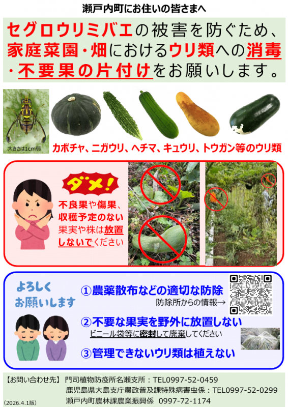 家庭菜園・畑におけるウリ類への消毒・不要果の片付けをお願いします。
