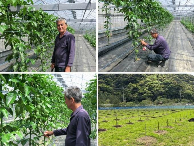 ふるさとUターン就農支援事業