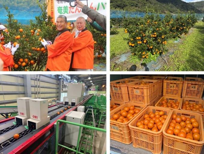 瀬戸内ブランド確立支援事業