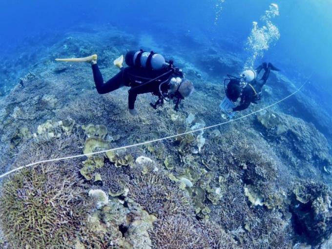 令和6年度リーフチェック