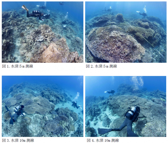 令和7年リーフチェック