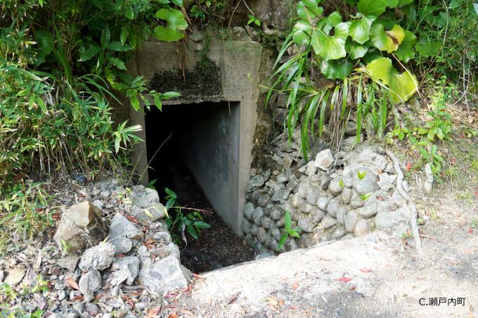 大島防備隊本部跡（戦斗指揮壕跡）