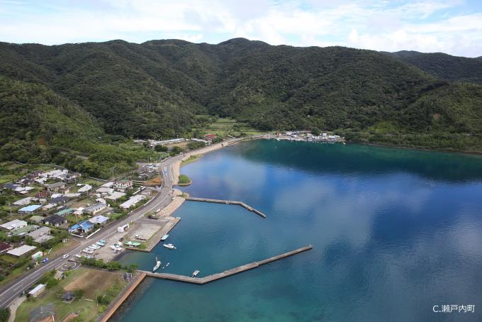 大島需品支庫跡（全景）