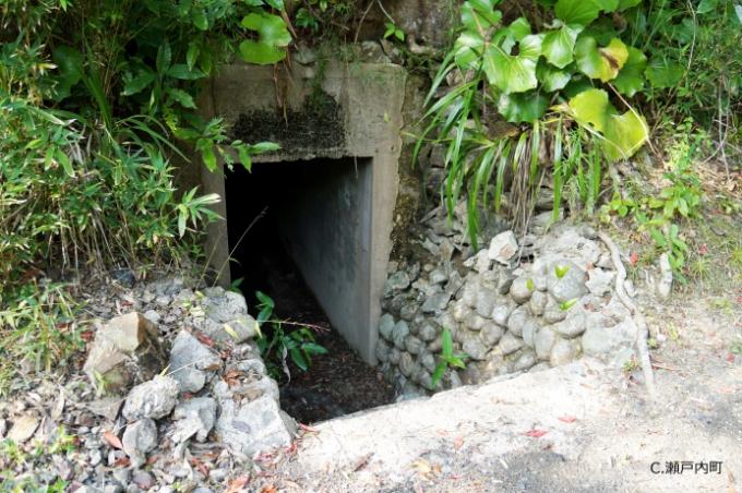 大島防備隊本部跡2